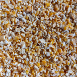 Mais spezzato senza farina italiano 24Kg