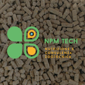 Mangime Galline Ovaiole NPM Tech