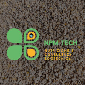 npm-010