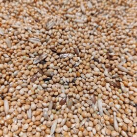 mix-cocorite