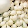 CIPOLLA_BIANCA_TONDA_SNOWBALL_RBSEMENTI-300x300
