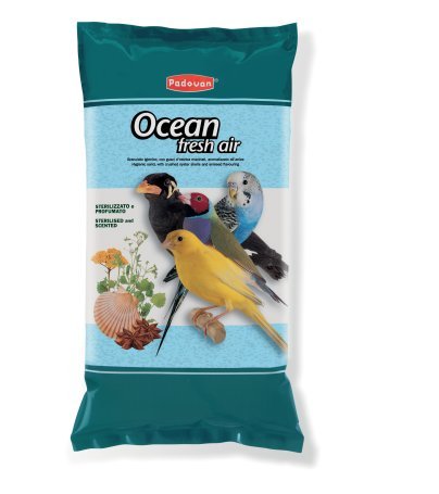 ocean-5kg
